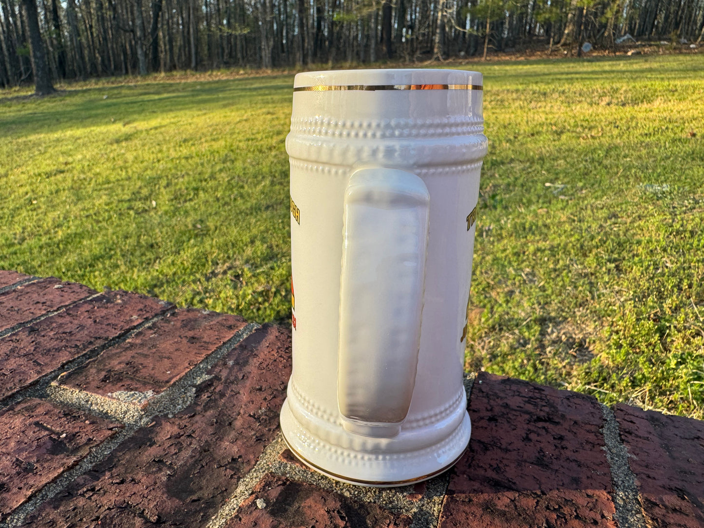 Armor Beer Stein